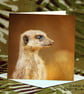 Exclusive Handmade Meerkat Greetings Card on Archive Photo Paper - Image 1