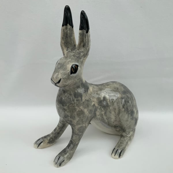 Grey Laying Hare
