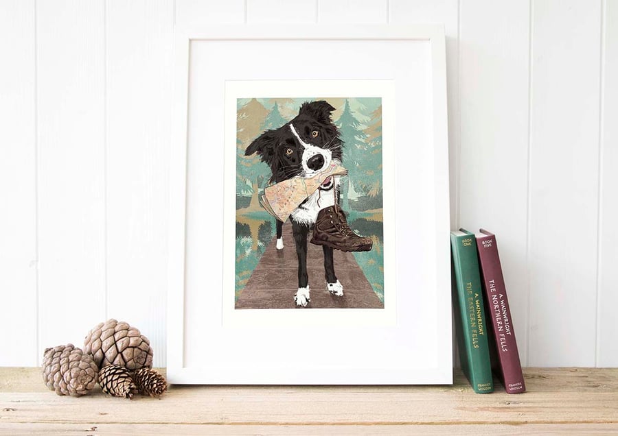 Border Collie art print - Lake District gift for boyfriend - gift for husband