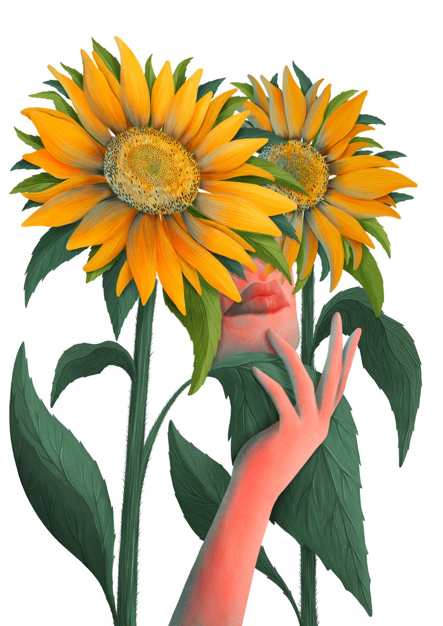'Sunflowers' - Flower Giclee Illustration - Wall decor floral print
