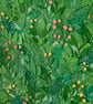 Framed Botanical Wall Art "Spring" - Everlasting Plant Leaf - Unique Paper Art - Image 4