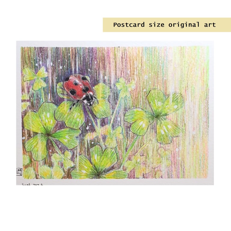 Ladybird in Clover, original insect drawing, nature artwork