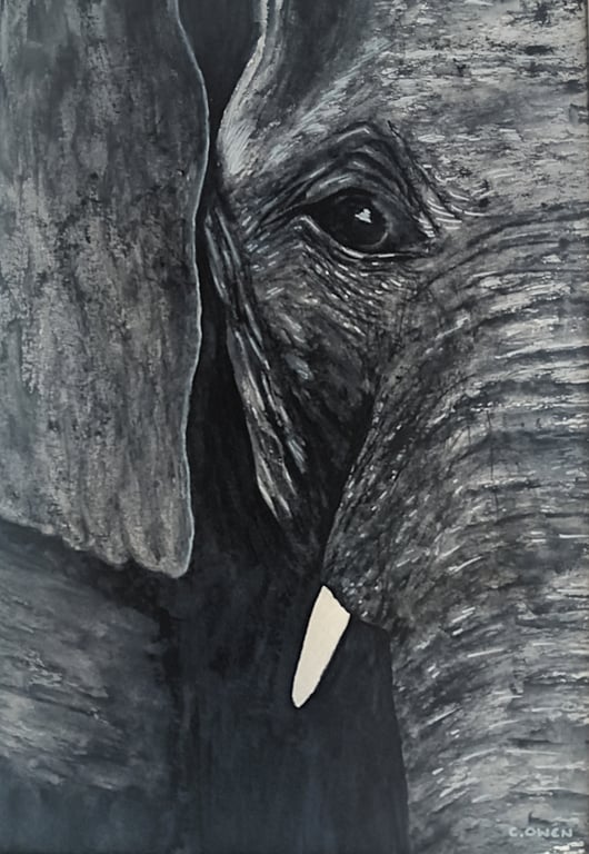 Elephant - Print of an Original Watercolour Painting