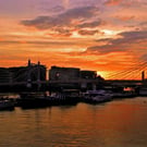 Albert Bridge River Thames London Sunset Photograph Print
