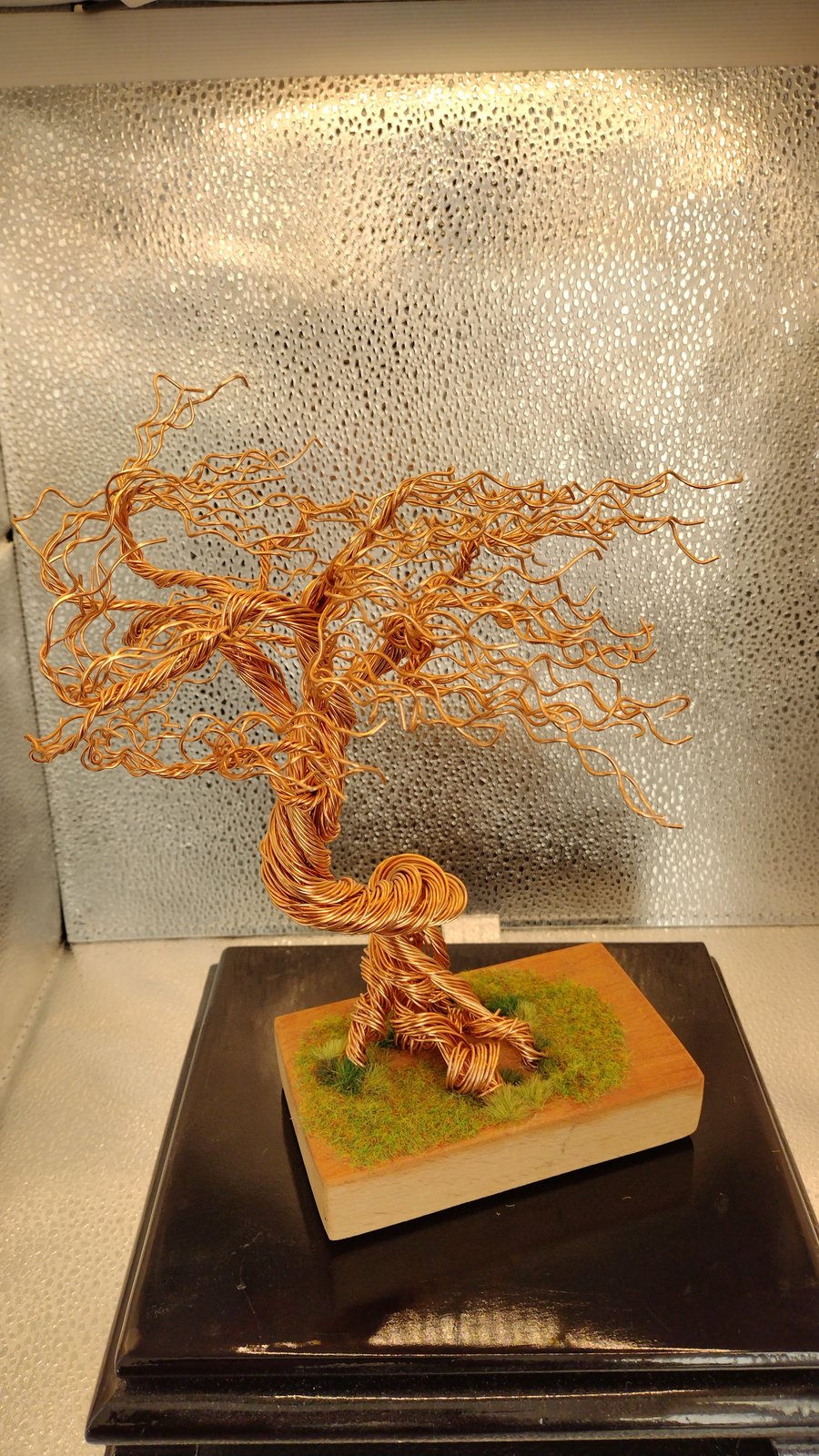 The age old wind swept bonsai tree 