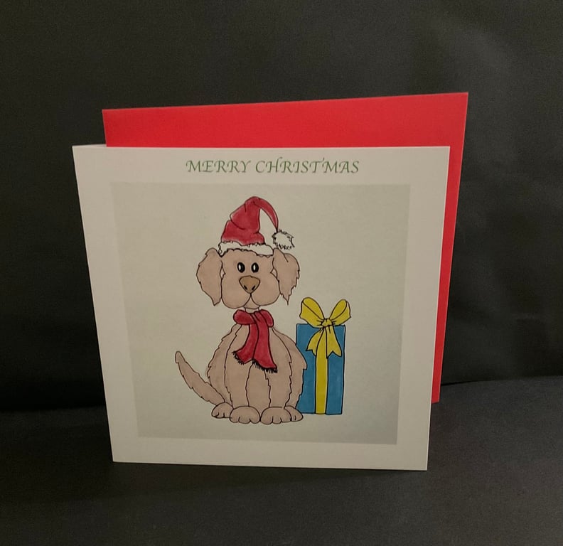 A present for dog 