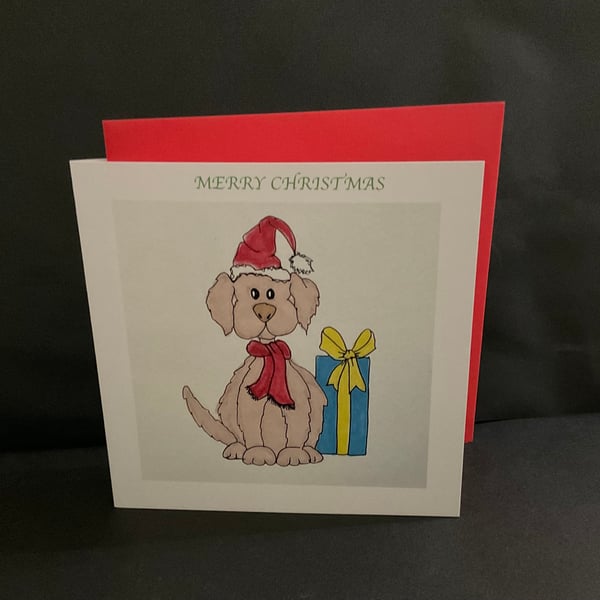 A present for dog 