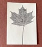 ACEO Mini Autumnal Leaf Print