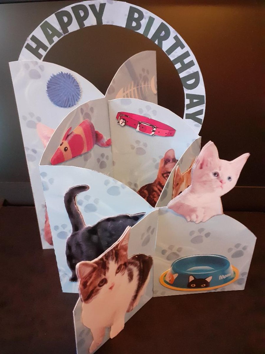 3D Cats & Kittens Concertina Card - Green
