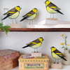 Siskin