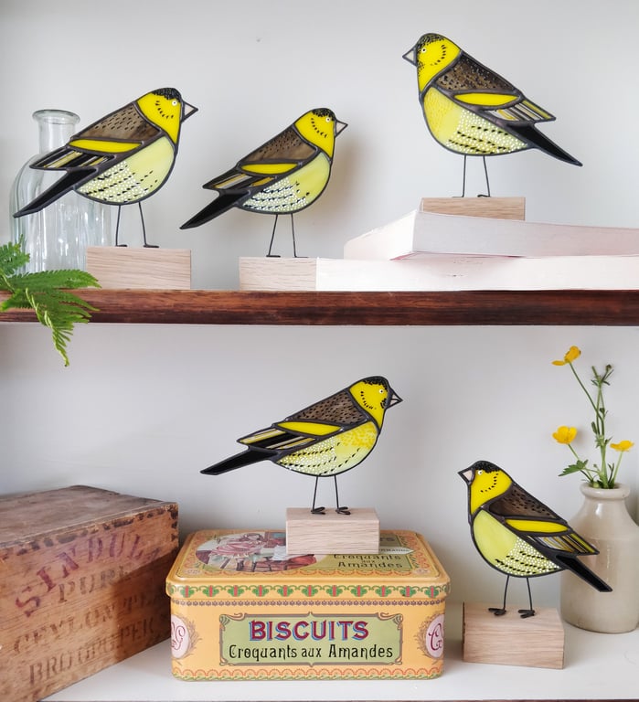 Siskin