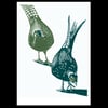 Pheasants poster