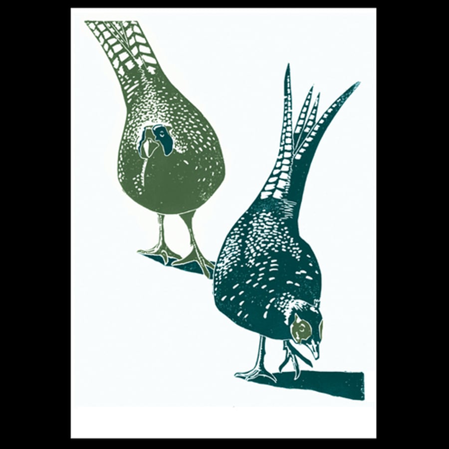 Pheasants poster