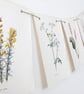 Paper Bunting  - Image 5