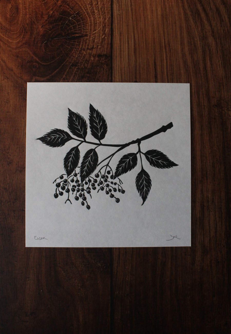 Elderberry lino print