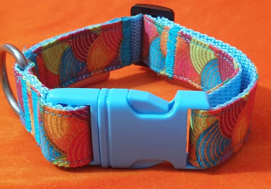 Rainbow Radiance Small Dog Collar: Adjustable Small Collar (11-13 inches)