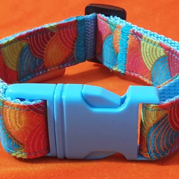 Rainbow Radiance Small Dog Collar: Adjustable Small Collar (11-13 inches)