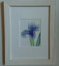 Small framed flower art prints, hand embellished with colour pencil - Image 9