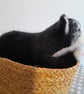 Tuxedo Kitten, Dotpebblesknits Design - Image 9
