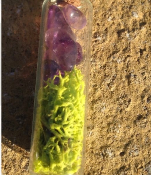 Amethyst & Moss Glass Vial Necklace