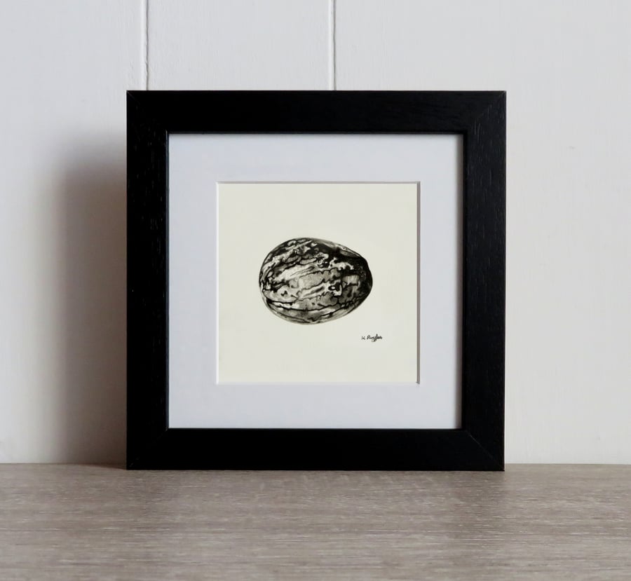 Nutmeg original charcoal pencil drawing, framed food art perfect chefs gift
