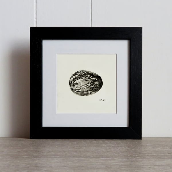 Nutmeg original charcoal pencil drawing, framed food art perfect chefs gift