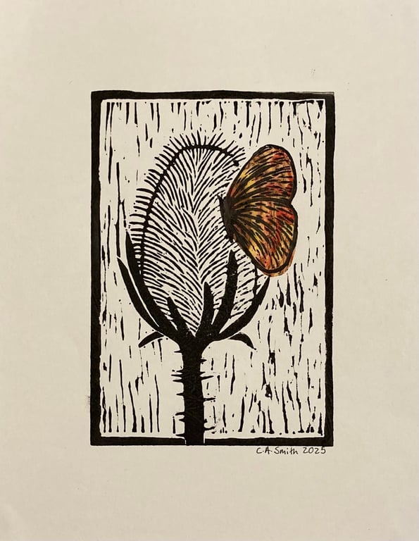 Teasel and Butterfly 