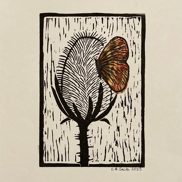 Teasel and Butterfly 