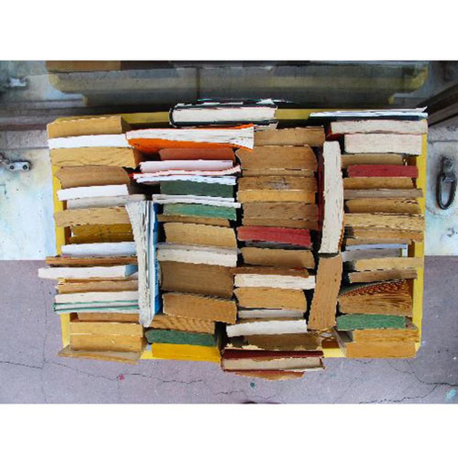 Box of Books - 8x10" photographic print