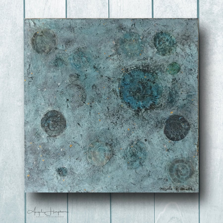 Box Frame Artwork Lino and Direct Prints of Fossil Ammonites - Deep Time