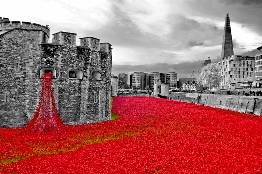 Red Poppies At The Tower Of London England Photograph Print