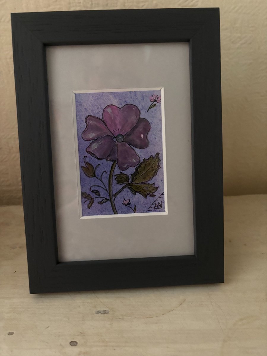 ACEO Framed Original Art Vivacious Viola