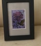 ACEO Framed Original Art Vivacious Viola