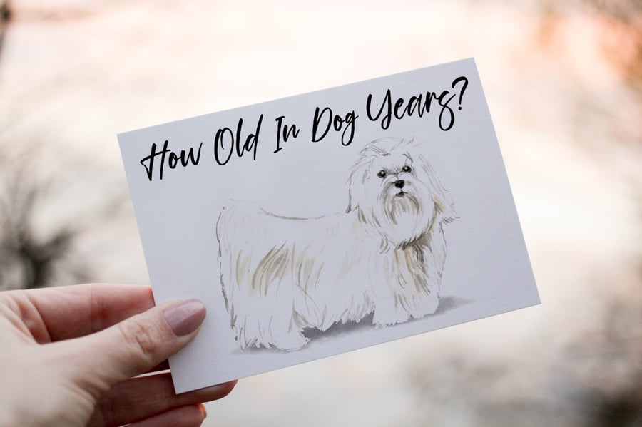 Maltese Dog Birthday Card, Dog Birthday Card, Personalized