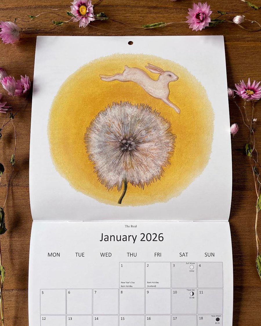 LARGE 2026 Wildlife Art Calendar: wall calendar, nature illustrations, landscape