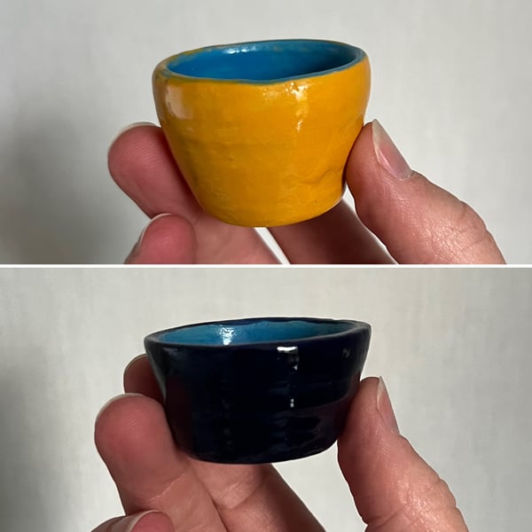 Two Teeny Tiny Pots