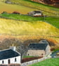 Firth Painting - Image 3