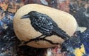 Ravens