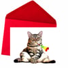 Christmas Card, Cat Blowing Party Horn (SALE)