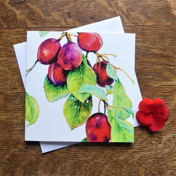 Plum Fruit Greeting Card from Original Watercolour Painting