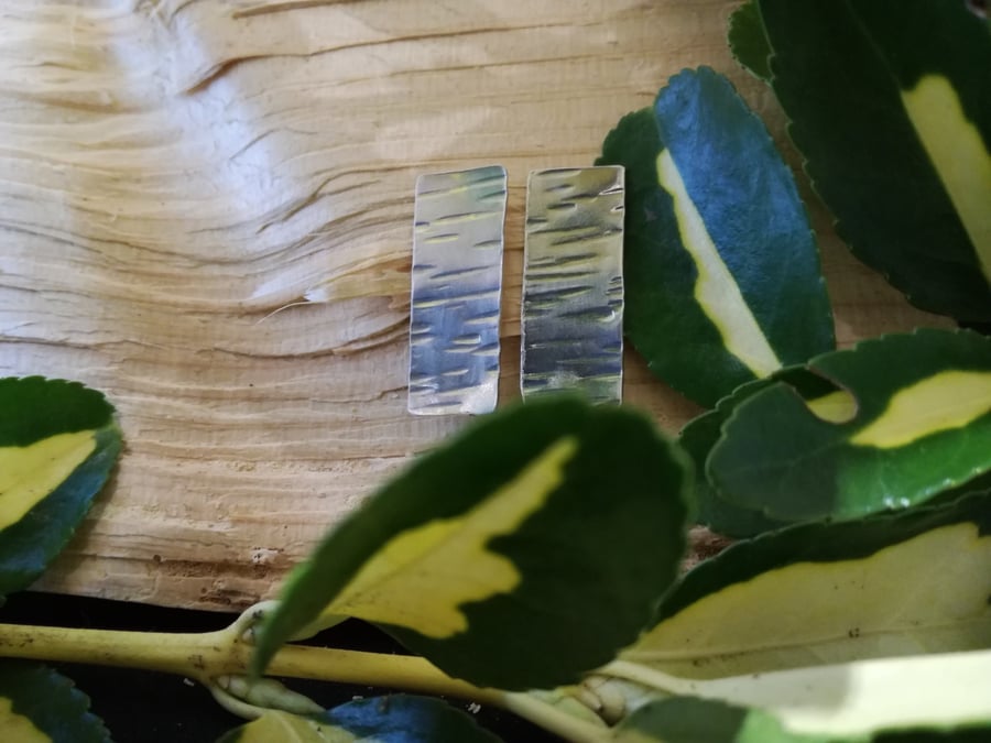 Silver Hammered Earrings with silver posts and scrolls