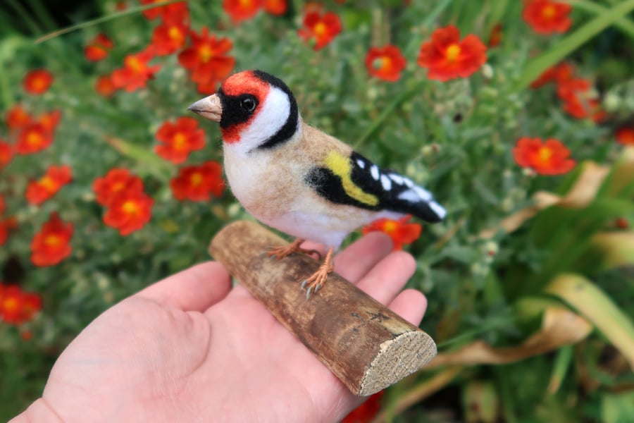 Life Size Needle Felted Goldfinch