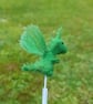 Book Dragon Pagemarker - Image 5