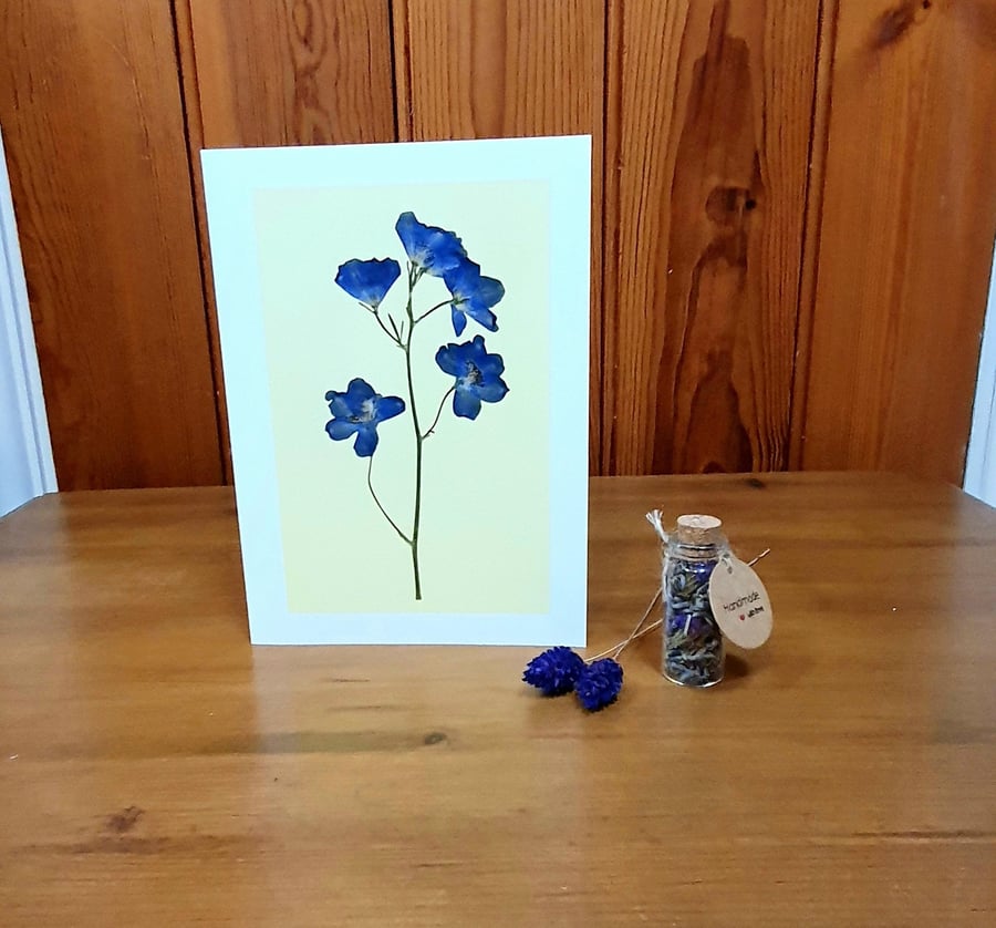 Pressed Flower Greeting Card, Printed - Simply Blue