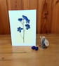 Pressed Flower Greeting Card, Printed - Simply Blue