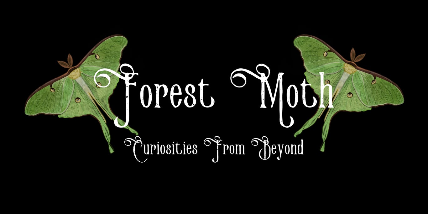 ForestMothCo
