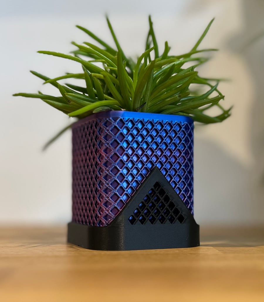 Contemporary Bicolour Mini Pot for Cactus and Small Plants
