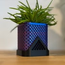 Contemporary Bicolour Mini Pot for Cactus and Small Plants