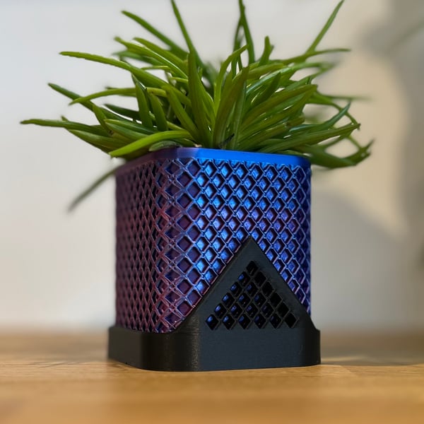 Contemporary Bicolour Mini Pot for Cactus and Small Plants