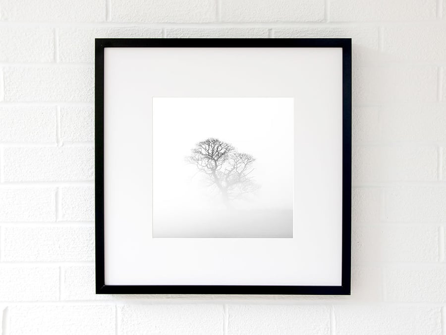 Tree wall art print - Minimalist black and white fine art photography